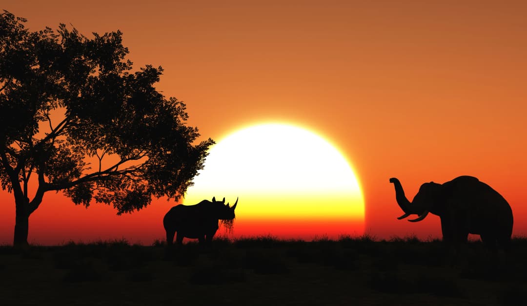 Mkomazi National Park