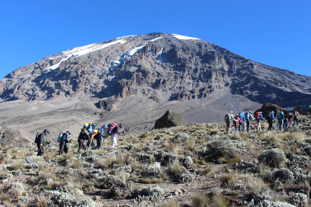 Kilimanjaro Hiking