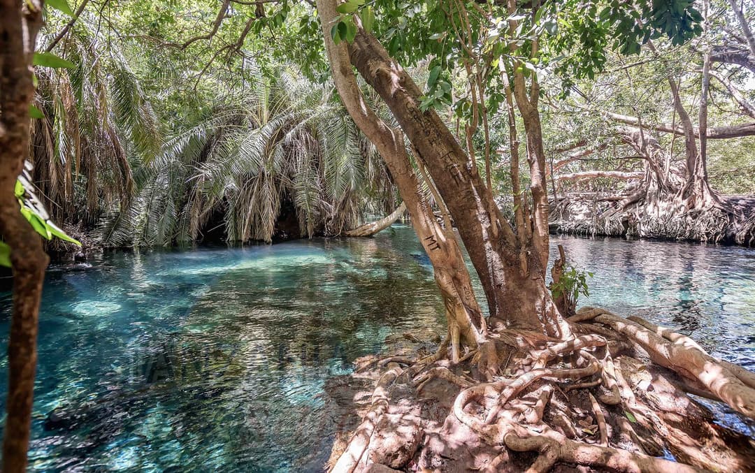 Kikuletwa Hot Springs