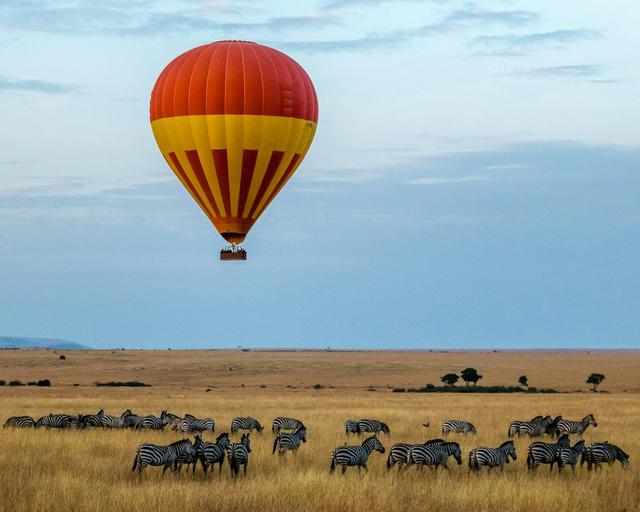 7-Day Tanzanian Wildlife Safari Adventure