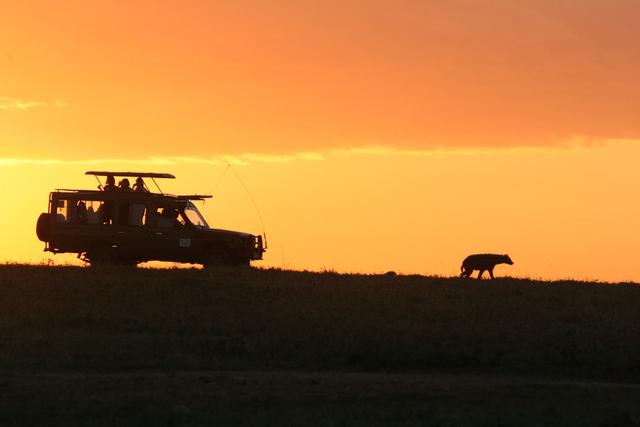 Serengeti & Ngorongoro Delight: 4-Day Safari Adventure