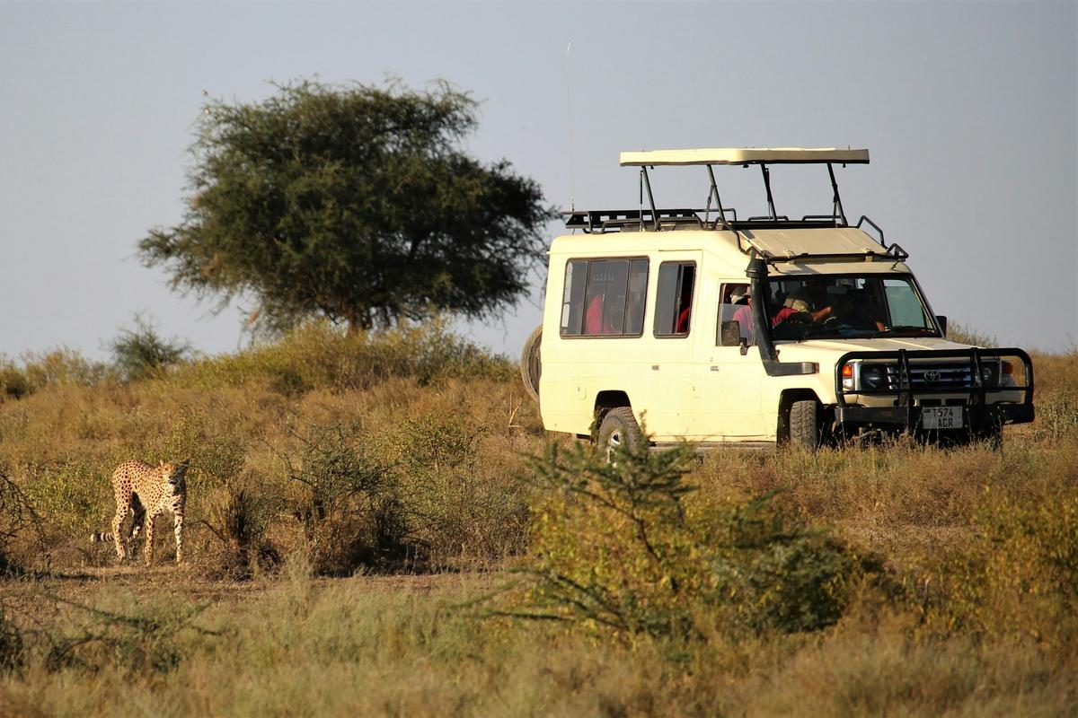 Ngorongoro Conservation Area 