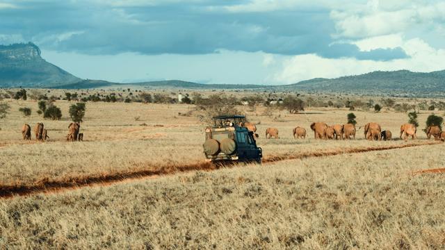  6-Day Serengeti Safari: Tanzanian Wildlife Adventure