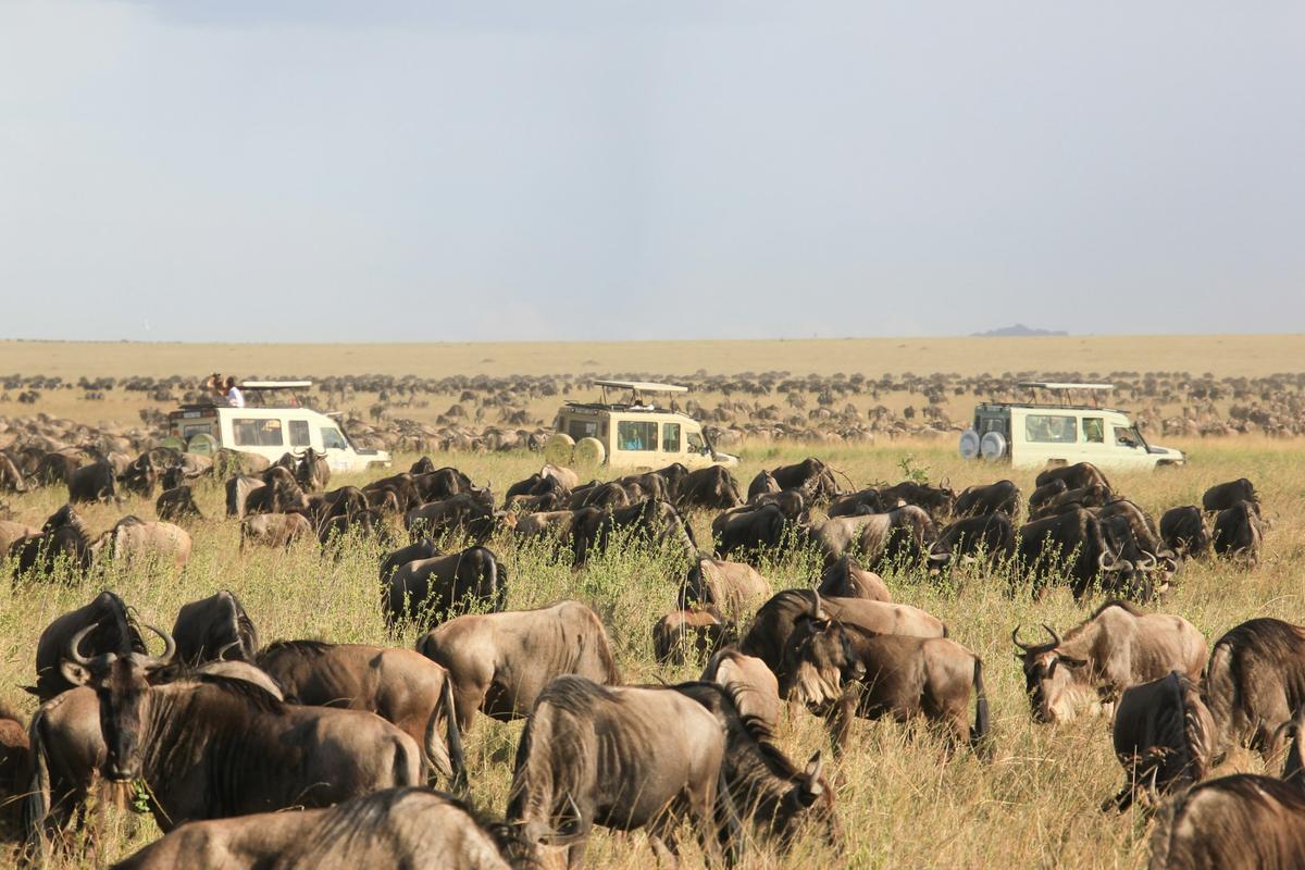  Serengeti National Park 