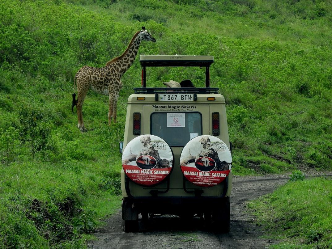  Serengeti - Ngorongoro Game Drive 