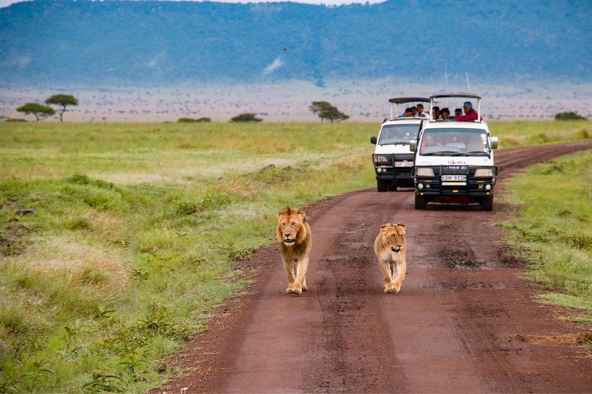 Arusha - Tarangire National Park - Mto Wa Ubu