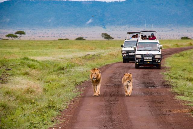 10-Day Tanzanian Safari Expedition