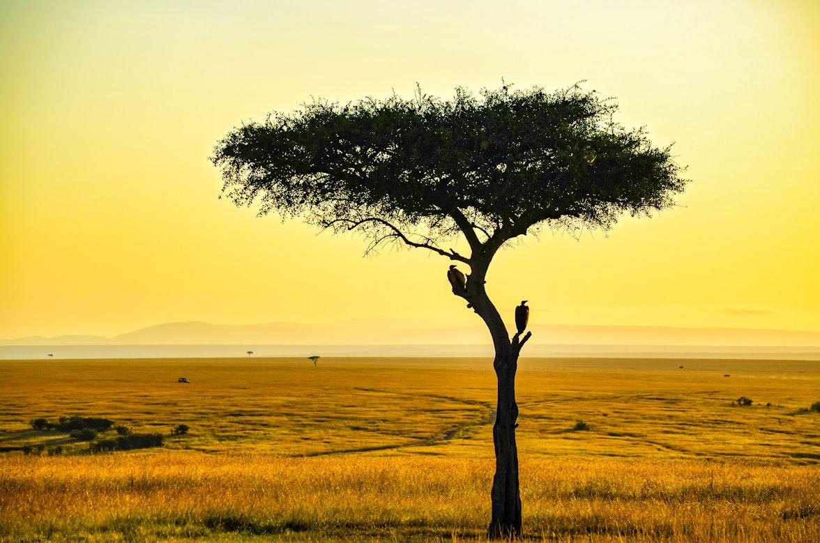  Serengeti National Park