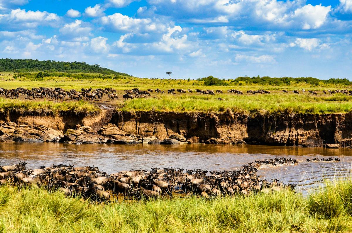 Arusha– Tarangire National Park – Karatu 